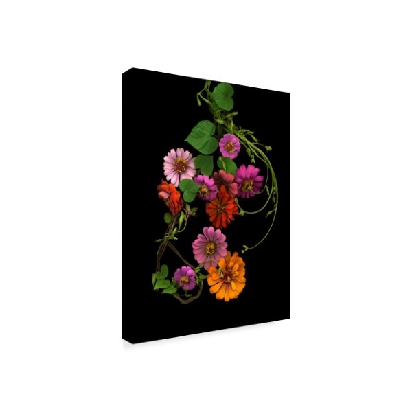 Susan S. Barmon 'Zinnia And Morning Glory Vine 2' Canvas Art,24x32